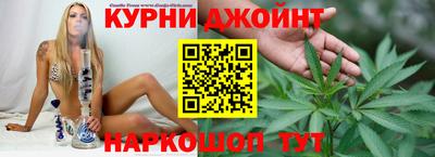 гашик Берёзовский
