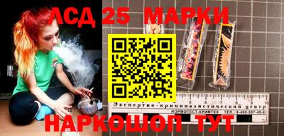 гашик Берёзовский