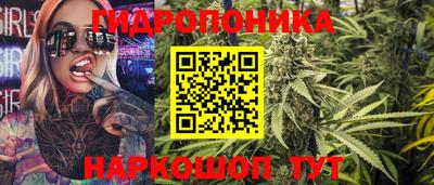 гашик Берёзовский